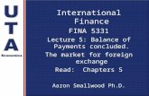 International Finance FINA 5331 Lecture 5: Balance of Payments concluded. The market for foreign exchange Read: Chapters 5 Aaron Smallwood Ph.D.