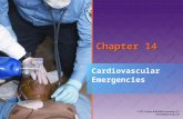 Chapter 14 Cardiovascular Emergencies. National EMS Education Standard Competencies (1 of 5) Pathophysiology Applies fundamental knowledge of the pathophysiology.