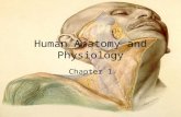 Human Anatomy and Physiology Chapter 1. I.Overview of Anatomy and Physiology ____________________= the study of the structure and.