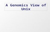 A Genomics View of Unix. General Unix Tips To use the command line start X11 and type commands into the “xterm” window A few things about unix commands: