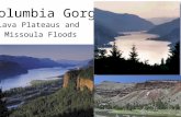 Columbia Gorge Lava Plateaus and Missoula Floods.