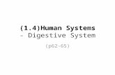 (1.4)Human Systems - Digestive System (p62-65). Recall – 11 Human Systems.