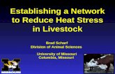 Establishing a Network to Reduce Heat Stress in Livestock Brad Scharf Division of Animal Sciences University of Missouri Columbia, Missouri.
