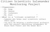 Citizen Scientists Salamander Monitoring Project Chaperones: – Ms. Kemp – Ms. Homsey – Ms. Carbonaro – Mr. Kiel What is a “citizen scientist”? – Someone.