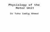 Physiology of the Motor Unit Dr Taha Sadig Ahmed.