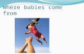 Where babies come from © 2012 by W. W. Norton & Company.