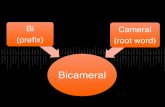 Bicameral Bi (prefix) Cameral (root word). Camera (Latin) = room or chamber.