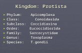 Kingdom: Protista ► Phylum: Apicomplexa ► Class: Conoidasida ► Subclass: Coccidiasina ► Order: Eucoccidiorida ► Family: Sarcocystidae ► Genus: Toxoplasma.
