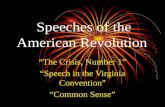 Speeches of the American Revolution “The Crisis, Number 1” “Speech in the Virginia Convention” “Common Sense”