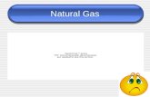 Natural Gas. Coal Power Petroleum Nuclear power.