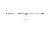 Factors Affecting Plant Growth 16.1. Soil – Broken rock (erosion, etc) – Humus Decomposing organic matter. – acts to bind mineral particles together and.
