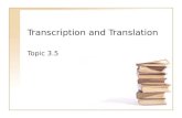 Transcription and Translation Topic 3.5. Assessment Statements 3.5.1 Compare the structure of RNA and DNA 3.5.2 Outline DNA transcription in terms of.