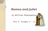 Romeo and Juliet by William Shakespeare Act 2 Scenes 3 - 6.