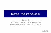 Fox MIS Spring 2011 Data Warehouse Week 8 Introduction of Data Warehouse Multidimensional Analysis: OLAP.