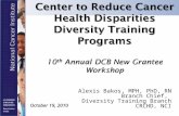 Alexis Bakos, MPH, PhD, RN Branch Chief, Diversity Training Branch CRCHD, NCI October 19, 2010.