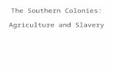 The Southern Colonies: Agriculture and Slavery. Economics-Content Standard: 2.0-Globalization of the economy, the explosion of population growth, technological.