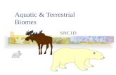 Aquatic & Terrestrial Biomes SNC1D. Biomes There are two major types of ecosystems: Aquatic Terrestrial Each can be subdivided further