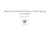 Why is the photochemistry in Arctic spring so unique? Jingqiu Mao.