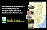 Freshwater Mussel Recovery for Water Quality and Habitat Improvement in Southeastern Pennsylvania Danielle Kreeger Partnership for the DE Estuary.