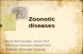 Zoonotic diseases Meral Sönmezoğlu, Assoc Prof Infectious Diseases Department Yeditepe University Hospital.