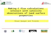 Shaun Quegan and friends Making C flux calculations interact with satellite observations of land surface properties.