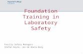 1 Foundation Training in Laboratory Safety Faculty Safety Managers Stefan Hoyle, Jan de Abela-Borg.