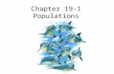 Chapter 19-1 Populations. Objectives Explain the difference between population size, density, and dispersion Describe the three main patterns of population.