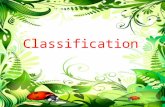 Classification. Lesson Objective To understand how organisms are classified. Learning Outcomes (We will be able to...) 1.All: Recall that organisms can.