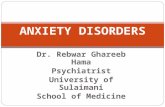 Dr. Rebwar Ghareeb Hama Psychiatrist University of Sulaimani School of Medicine ANXIETY DISORDERS.
