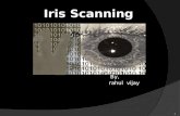 Iris Scanning By, rahul vijay 1. Introduction  Biometrics provides a secure method of authentication and identification.  Biometric identification utilises.