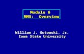Module 6 MM5: Overview William J. Gutowski, Jr. Iowa State University.