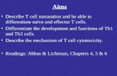 Aims Describe T cell maturation and be able to differentiate naïve and effector T cells. Differentiate the development and functions of Th1 and Th2 cells.