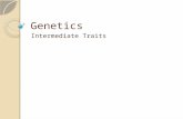 Genetics Intermediate Traits. Traits Most traits are controlled by more than 1 gene Most traits have multiple alleles.