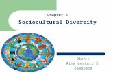 Chapter 5 Sociocultural Diversity Oleh : Rina Lestari S. 69080059.