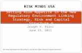 Joseph V. Rizzi June 15, 2011 Setting Risk Appetite in the New Regulatory Environment Linking Strategy, Risk and Capital Structure © The views expressed.