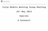 Strip Module Working Group Meeting 16 th May 2012 Hybrids A Greenall.