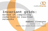 Invariant grids: method of complexity reduction in reaction networks Andrei Zinovyev Institut Curie, Paris Institut des Hautes Études Scientifiques.