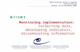 Monitoring implementation : collecting data, developing indicators, disseminating information UNECE Working Group on Ageing Second meeting Geneva, 23-24.