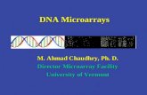 DNA Microarrays M. Ahmad Chaudhry, Ph. D. Director Microarray Facility University of Vermont.