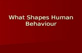 What Shapes Human Behaviour. Key Words Key People Key Words Key People Acclimation adjustments Acclimation adjustments Agents of socialization Agents.