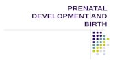 PRENATAL DEVELOPMENT AND BIRTH. Learning Objectives How and when do various teratogens affect the developing fetus? How can you summarize the effects.