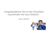 Congratulations You’re the Transition Coordinator for your District! Now What?