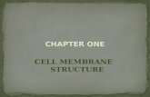 CHAPTER ONE CELL MEMBRANE STRUCTURE. CHAPTER TWO MEMBRANE TRANSPORT.
