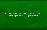 Evolution, Natural Selection, and Species Origination.
