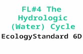 FL#4 The Hydrologic (Water) Cycle EcologyStandard 6D.