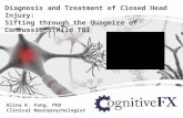 Alina K. Fong, PhD Clinical Neuropsychologist Diagnosis and Treatment of Closed Head Injury: Sifting through the Quagmire of Concussions/Mild TBI.
