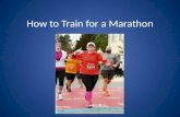 How to Train for a Marathon Introduction Training Hydration Running Gear Race Day Tips.
