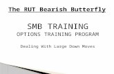 SMB TRAINING OPTIONS TRAINING PROGRAM Dealing With Large Down Moves.