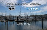 Bobby Ireland Lorenzo Ciannelli Patterns in the Marine Distribution of Oregon Chinook Salmon (Oncorhynchus tshawytscha)