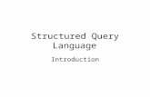 Structured Query Language Introduction. Basic Select SELECT lname, fname, phone FROM employees; Employees Table LNAMEFNAMEPHONE JonesMark555-1087 SmithSara555-2222.